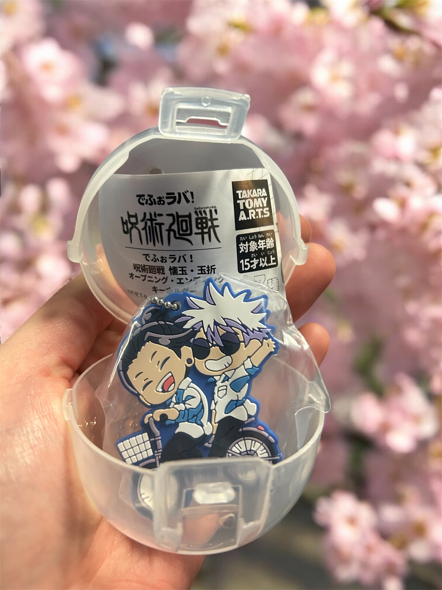 Jujutsu Kaisen Keychains